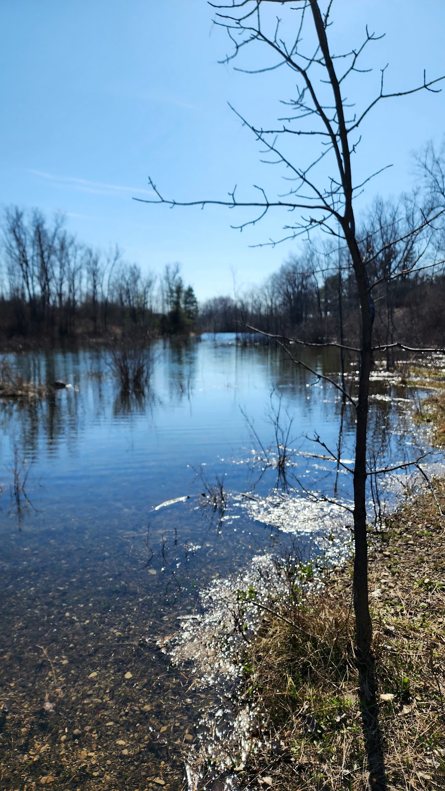 Tillman Road Wildlife Management Area | 9988 Wehrle Dr, Clarence, NY 14031, USA | Phone: (716) 372-0645