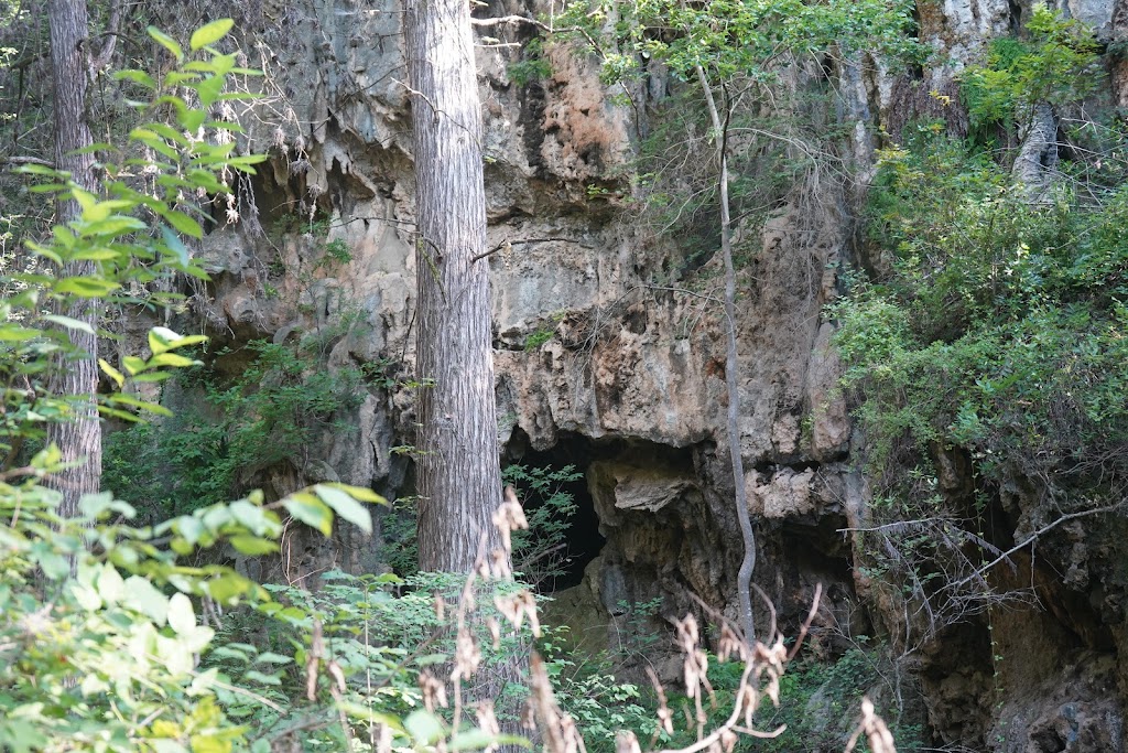 Westcave Outdoor Discovery Center | 24814 Hamilton Pool Rd, Round Mountain, TX 78663, USA | Phone: (830) 825-3442