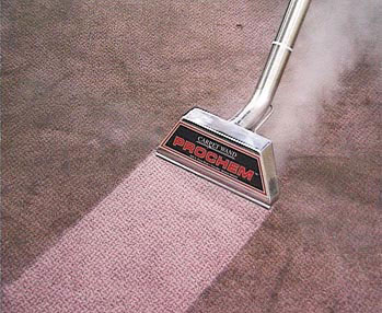 Carpet Cleaning Alviso CA | 215 Seaside Dr, Milpitas, CA 95035, USA | Phone: (408) 915-0473