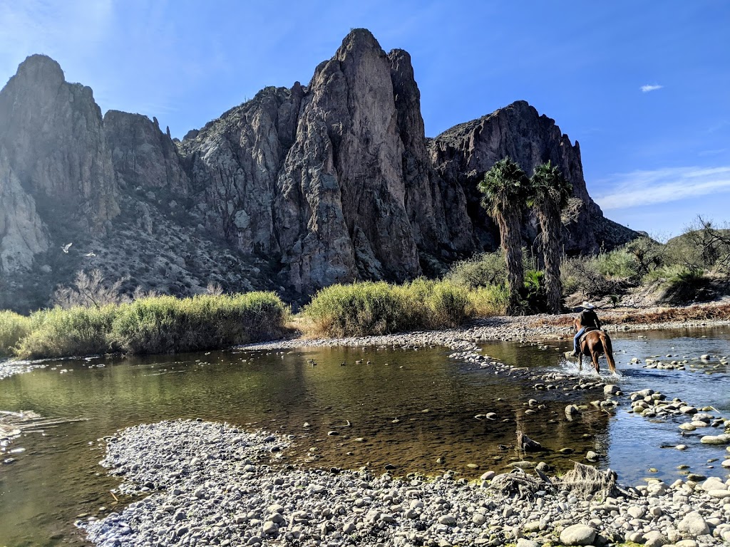 Saguaro Lake Ranch Stables | 13050 N Bush Hwy, Mesa, AZ 85215, USA | Phone: (480) 984-0335