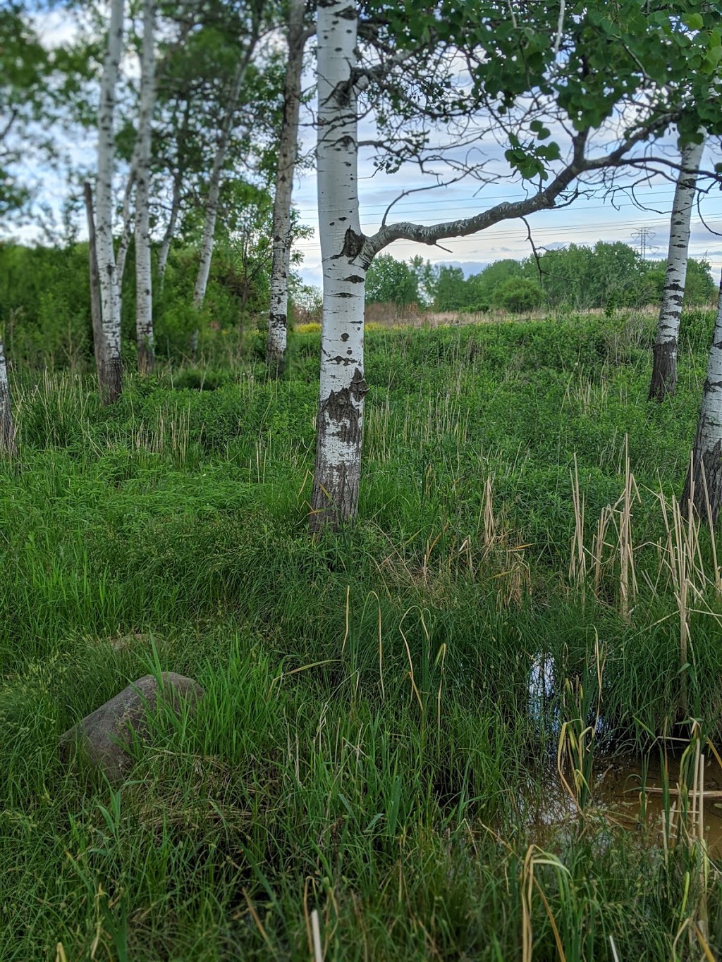 Rudy Kraemer Nature Preserve | 12799 Chowen Ave S, Burnsville, MN 55337 | Phone: (952) 895-4521