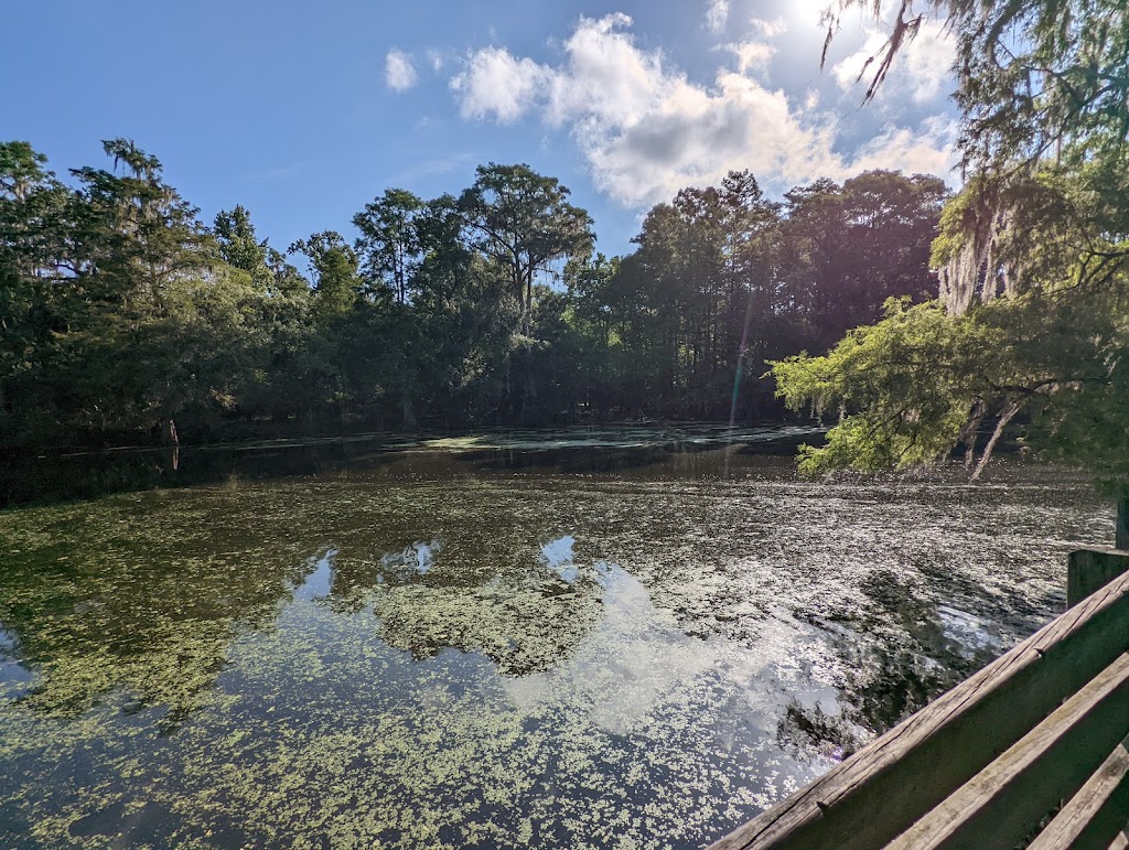 Wilderness Park Trout Creek Site | Trout Crk Pk, Thonotosassa, FL 33592, USA | Phone: (813) 987-6200 Wilderness Park Trout Creek Site | Trout Crk Pk, Thonotosassa, FL 33592, USA | Phone: (813) 987-6200