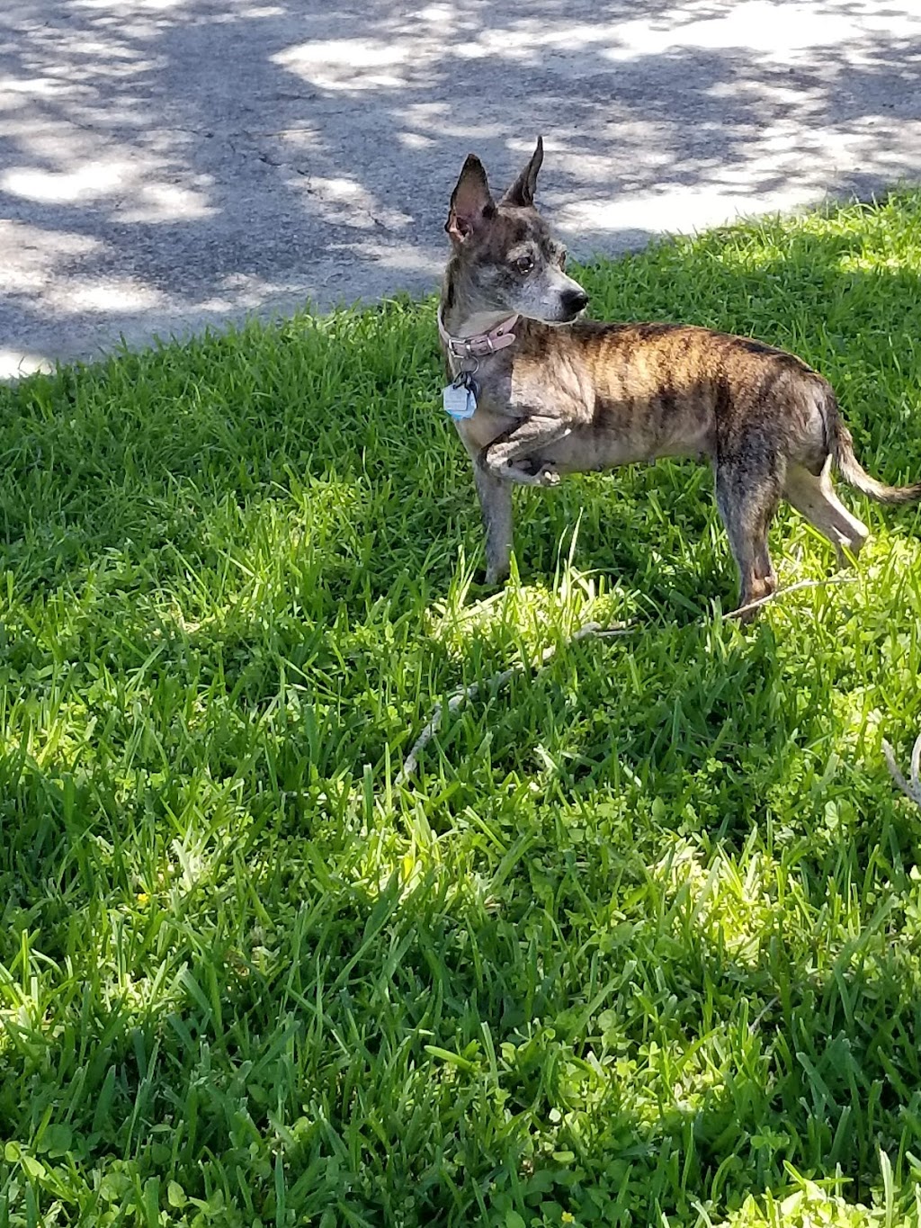 Gateway Manufactured Housing Community | 1545 N Lexington Blvd, Corpus Christi, TX 78409, USA | Phone: (361) 289-1191