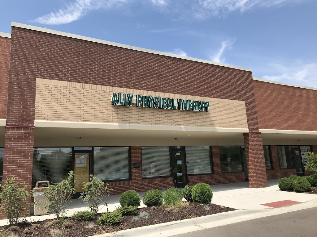 Ally Physical Therapy | 7313 N Lilley Rd, Canton, MI 48187, USA | Phone: (734) 335-8202