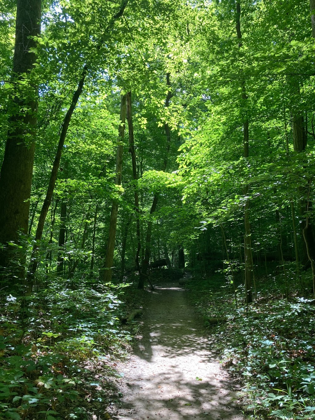 Meeman-Shelby Forest State Park Visitor Center | Meeman-Shelby State Park Visitor Center, 910 Riddick Rd, Millington, TN 38053, USA | Phone: (901) 876-5215