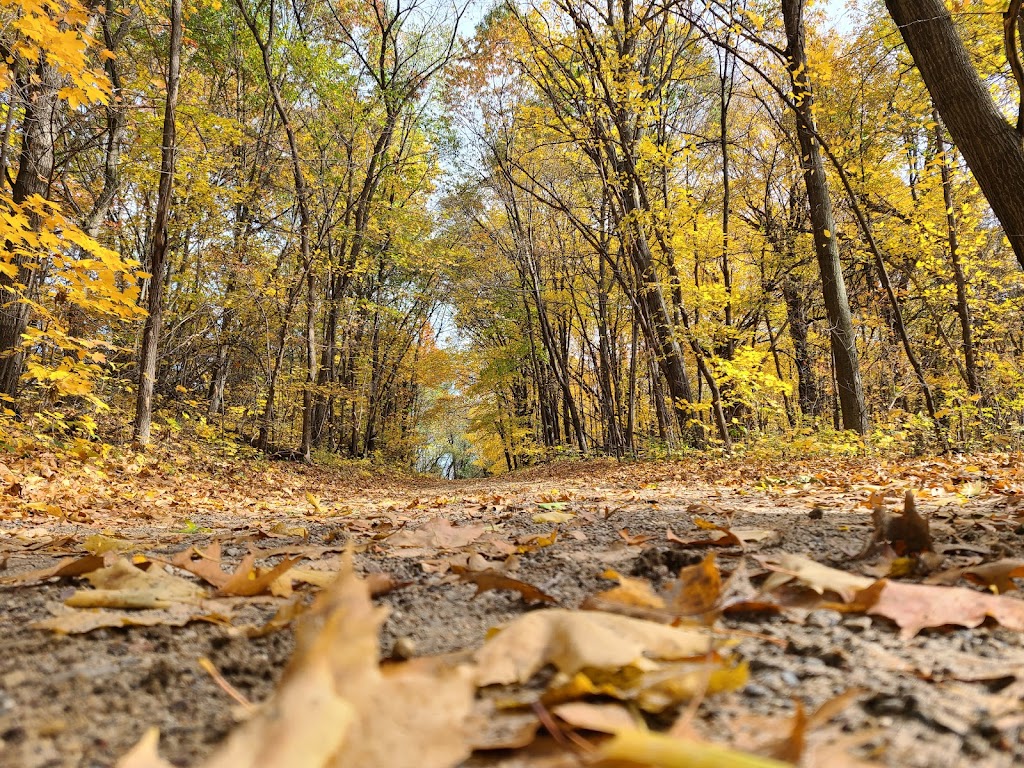 Crow Hassan Trailhead | Rogers, MN 55374, USA | Phone: (763) 694-7860