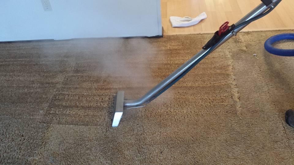Hunter Carpet Cleaning | 29206 45th Pl S, Auburn, WA 98001, USA | Phone: (206) 636-7287