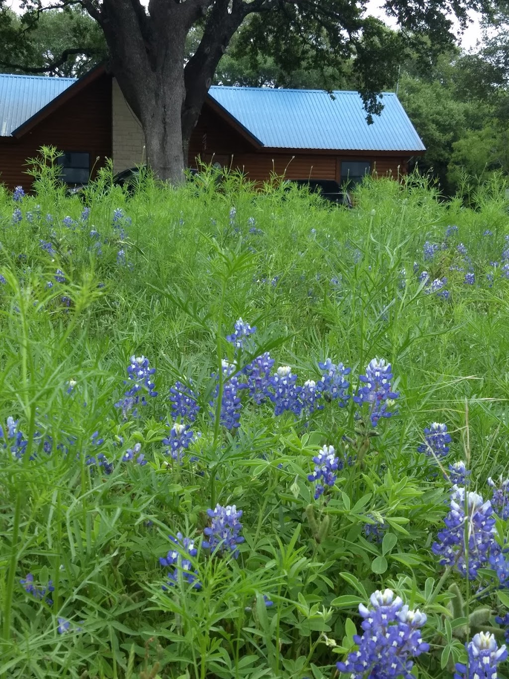 Chez J Rustic Restful Retreat | 24428 Pedernales Dr, Spicewood, TX 78669, USA | Phone: (512) 680-4413