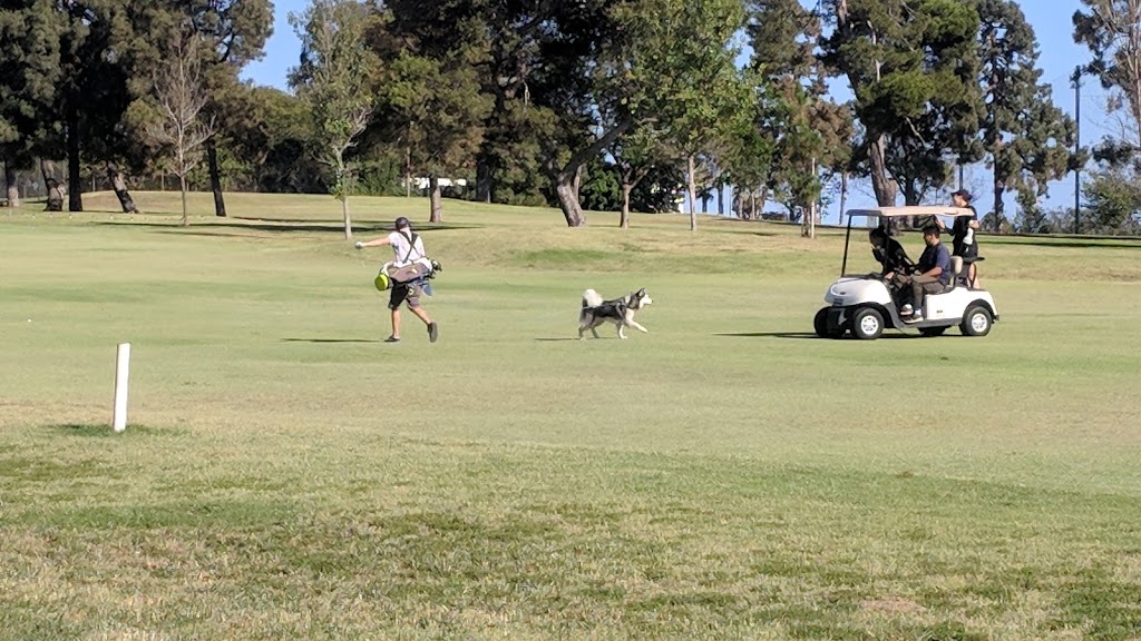 Recreation Park Golf Course 18 | 5001 Deukmejian Dr, Long Beach, CA 90804 | Phone: (562) 494-5000