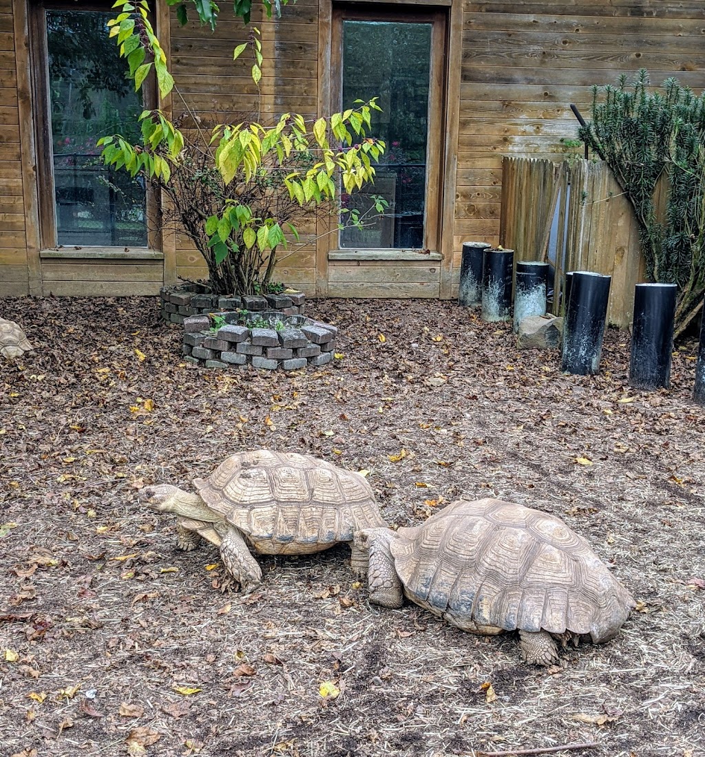 Noahs Ark Animal Sanctuary | 712 L G Griffin Rd, Locust Grove, GA 30248, USA | Phone: (770) 957-0888