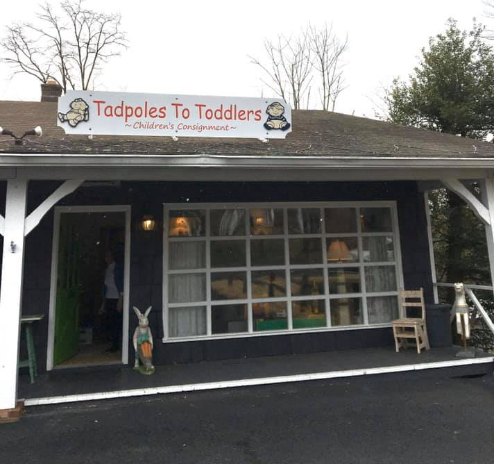 Tadpoles To Toddlers | 916 Mt Kemble Ave, Morristown, NJ 07960, USA | Phone: (908) 766-4434
