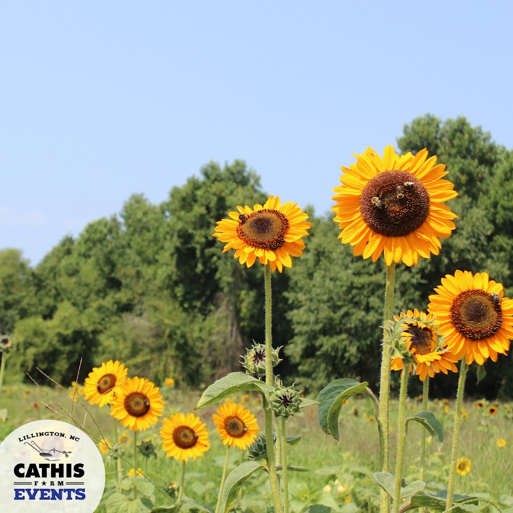 CATHIS Farm | 544 Falcon Rd, Lillington, NC 27546, USA | Phone: (910) 502-0348