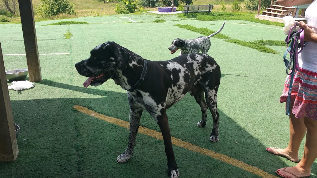 Plymouth Dog Park | 17005 County Rd 47, Plymouth, MN 55446, USA | Phone: (763) 509-5200