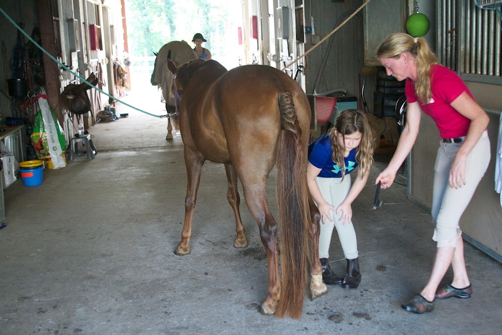 JRF Equestrian | 4111 Wendell Rd, Wendell, NC 27591, USA | Phone: (860) 655-7520