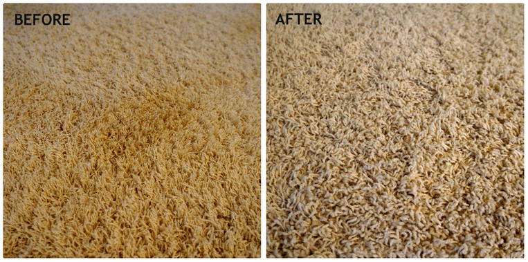 Carpet And Rugs Cleaning Dallas TX | 3833 Colgate Ave, Dallas, TX 75225, USA | Phone: (972) 957-7993