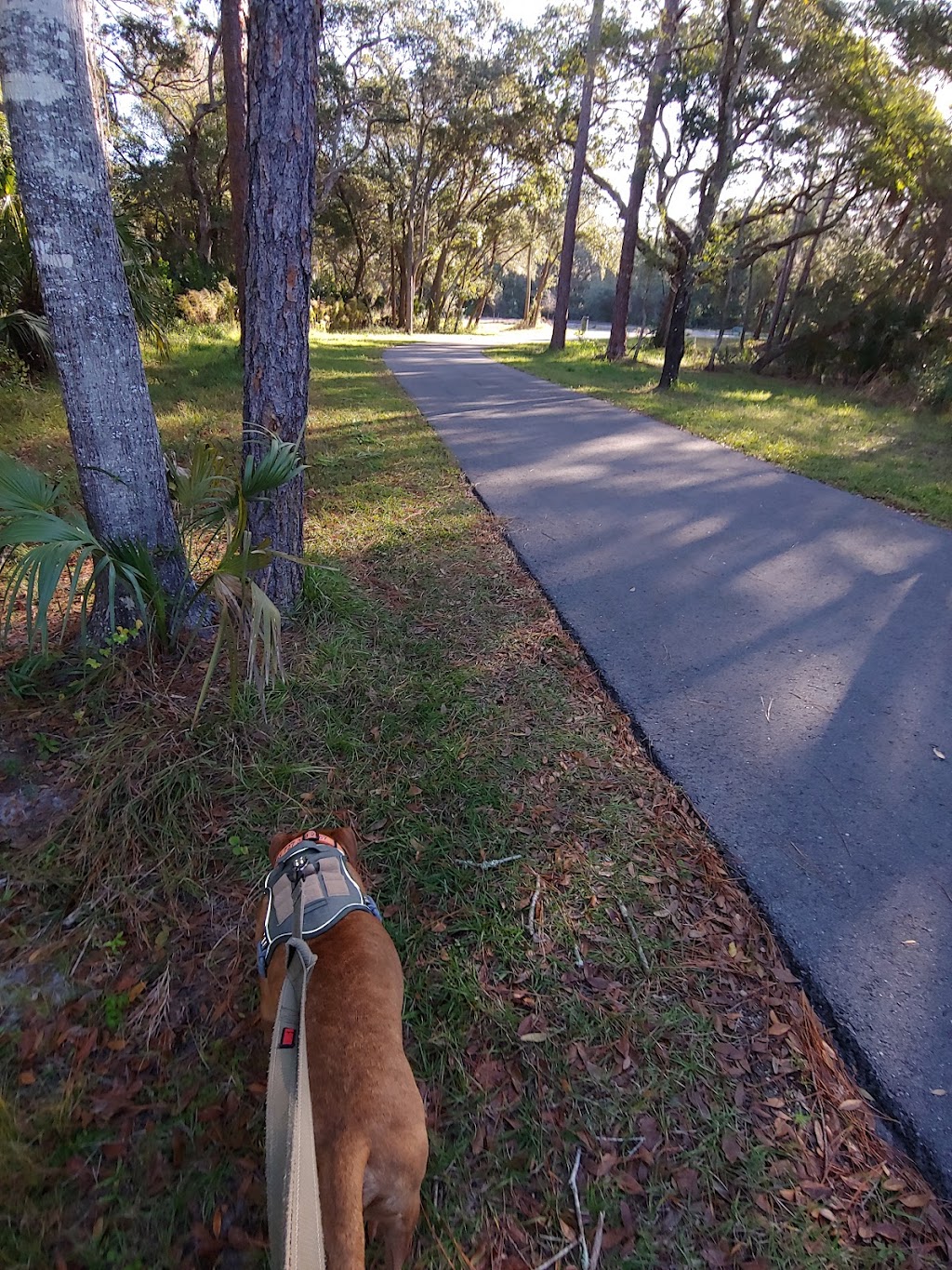 Coastal Anclote Trail | Anclote, Coastal Trail, Holiday, FL 34691, USA | Phone: (727) 938-2598