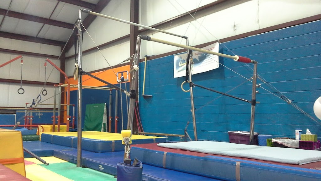 Leaps N Bounders Gymnastics | 452 Clearview Ave Bldg. C, Feasterville-Trevose, PA 19053, USA | Phone: (215) 396-8802