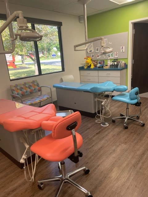 Mini Molars Kids Dentistry - Dr. Brigid McCann | 3725 N Buffalo St # E, Orchard Park, NY 14127 | Phone: (716) 667-3426