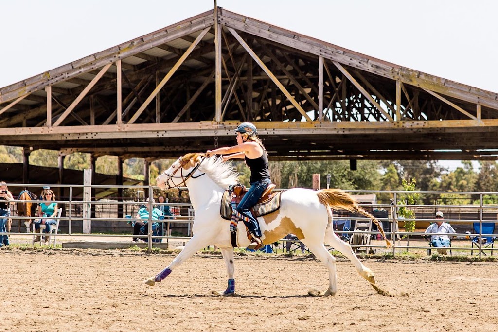 Painted Star Equestrian | 11590 New Ave, Gilroy, CA 95020, USA | Phone: (760) 574-0037