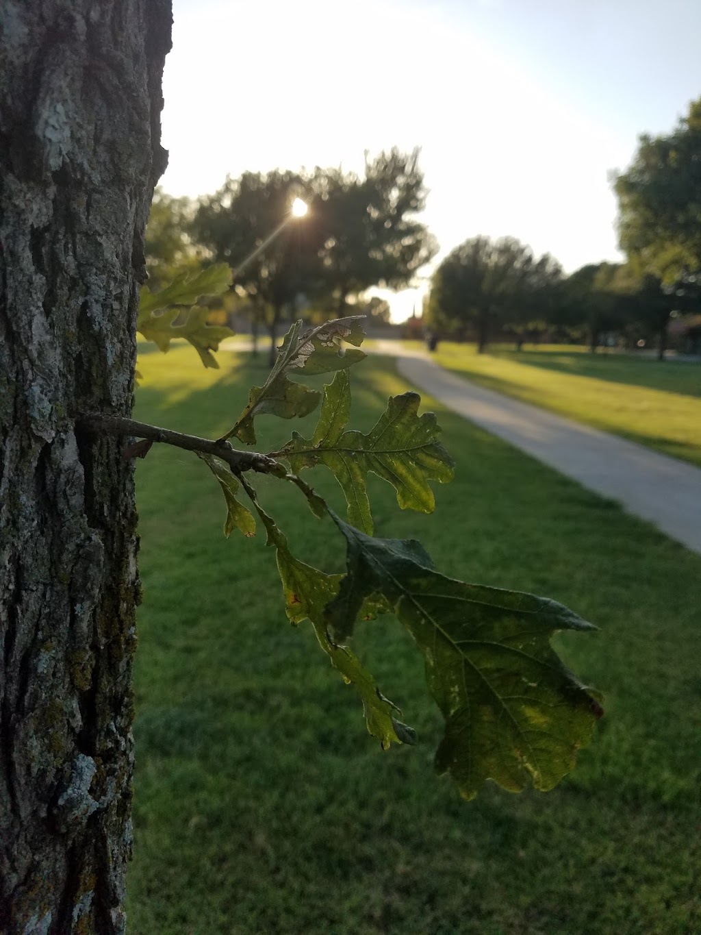 Frank Beverly Park | 7112 Quarry Chase Trail, Plano, TX 75025 | Phone: (972) 941-7250