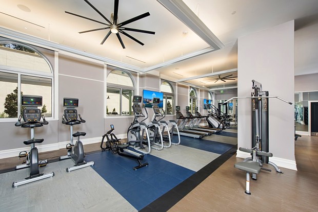 Commercial Fitness Products | 10239 Windhorst Rd, Tampa, FL 33619, USA | Phone: (239) 938-1461