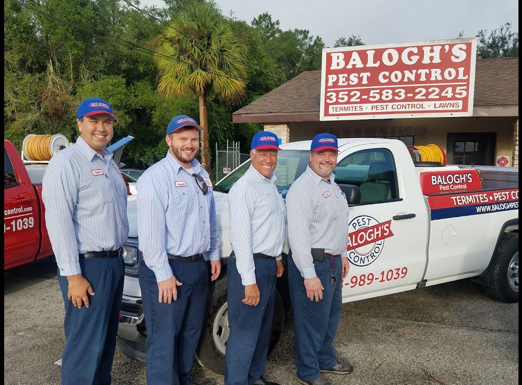 Baloghs Pest Control | 5041 Treiman Blvd, Ridge Manor, FL 33523, USA | Phone: (888) 989-1039