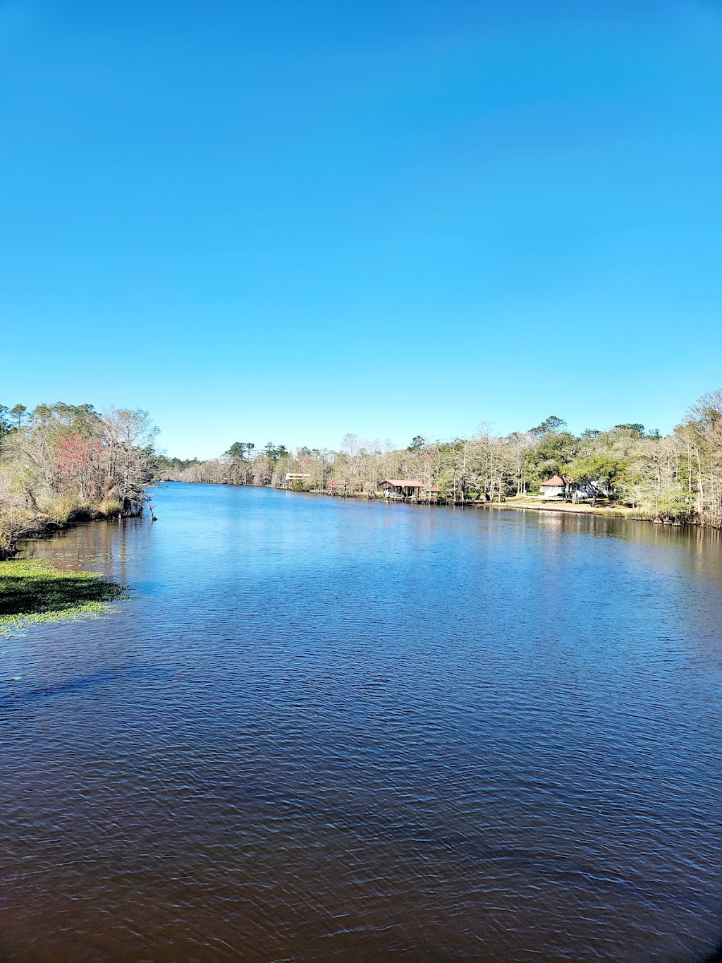 St Tammany Parish Trailhead | 28452 Balehi Rd, Lacombe, LA 70445, USA | Phone: (985) 882-3486