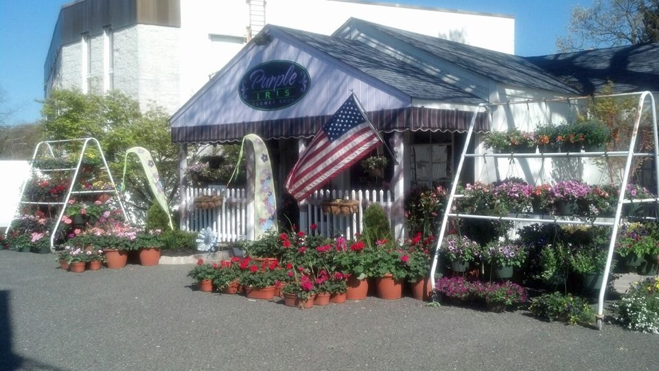 Purple Iris Flower Shop | 2505 NJ-88, Point Pleasant, NJ 08742, USA | Phone: (732) 899-8175