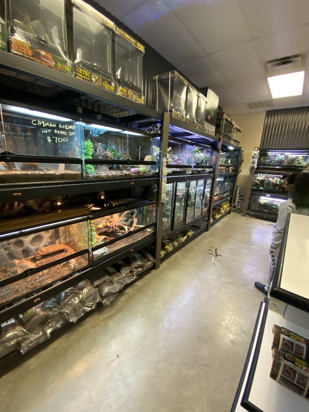 Exotic Envy Reptiles | 4075 Marietta Hwy #104, Dallas, GA 30157, USA | Phone: (678) 426-8257