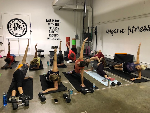 Organic Fitness Factory | 650 Nashville Pike, Gallatin, TN 37066, USA | Phone: (615) 519-4844