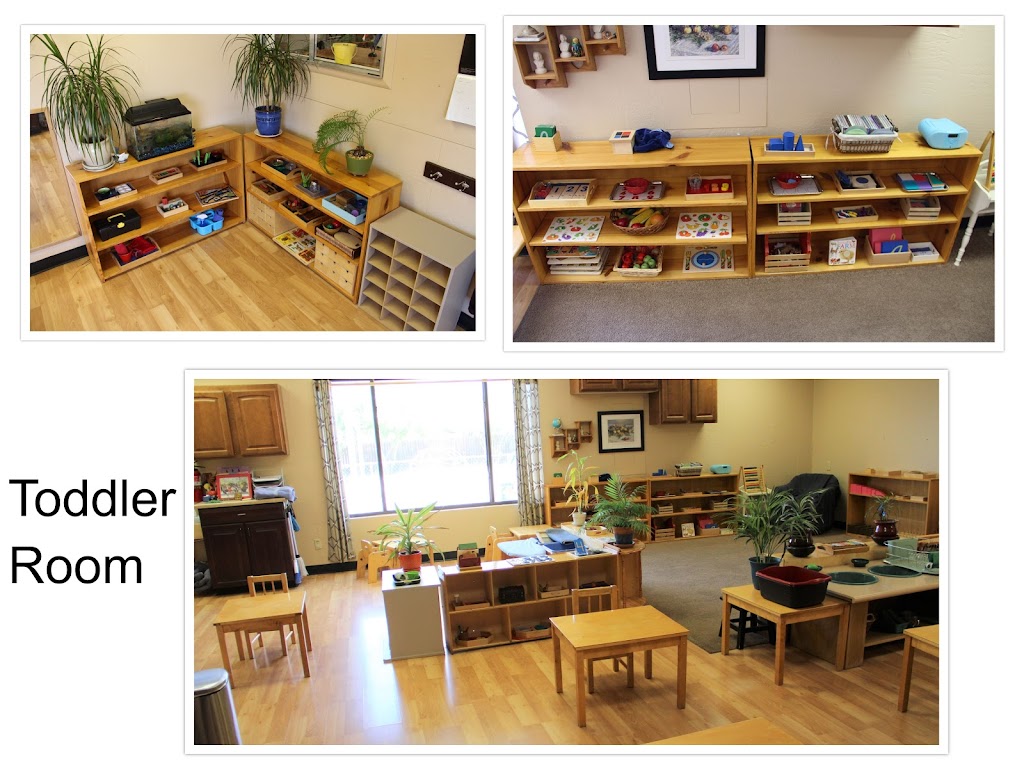 Dynamite Montessori School (Toddler - 6th Grade) | 28807 N 53rd St, Cave Creek, AZ 85331, USA | Phone: (480) 563-5710