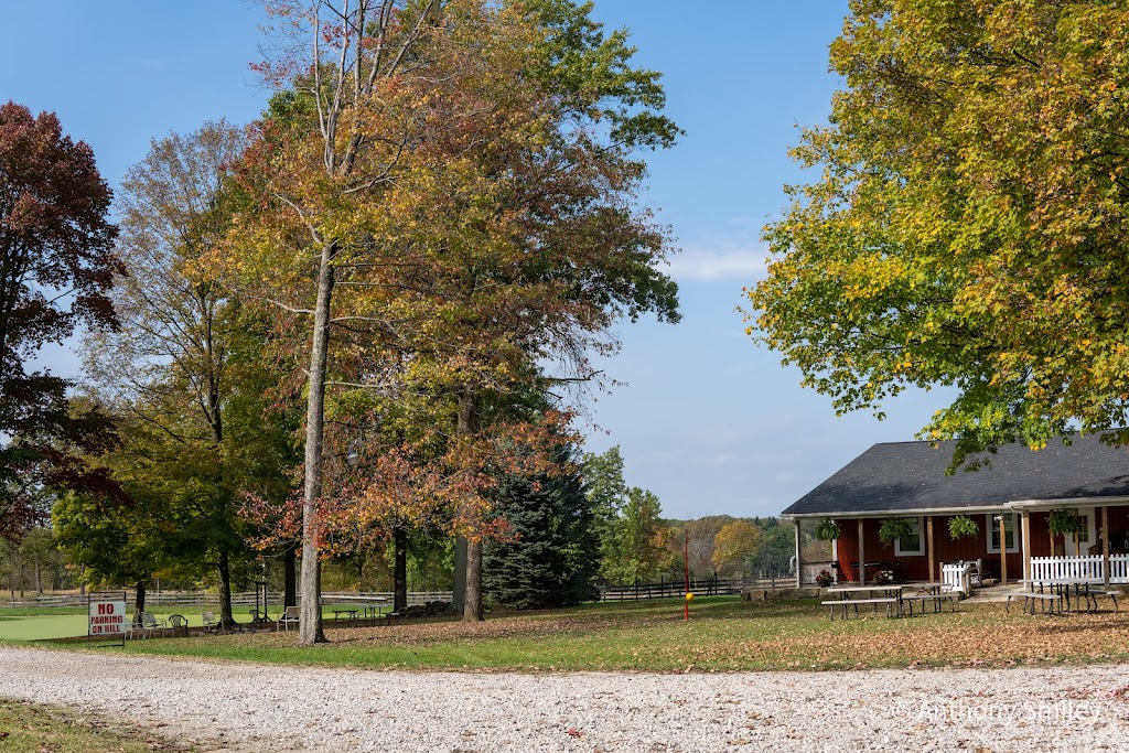 Countryside Farm Barn Venue | 4684 Center Rd, Lowellville, OH 44436, USA | Phone: (330) 536-2178