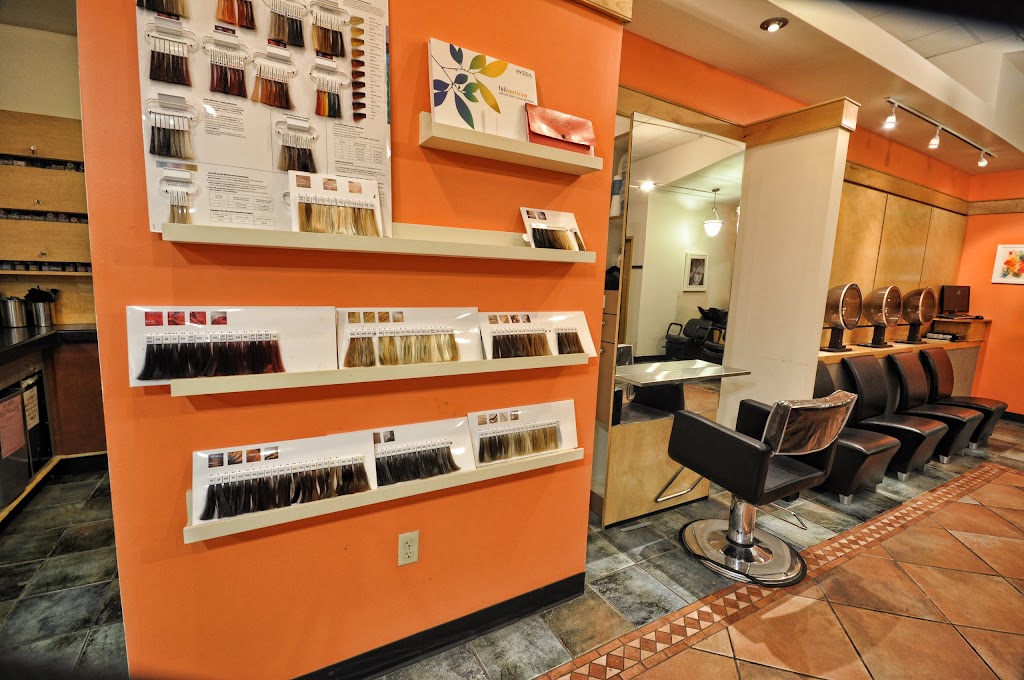 Jean Paul Spa and Salons | 594 Loudon Rd, Latham, NY 12110, USA | Phone: (518) 482-2121