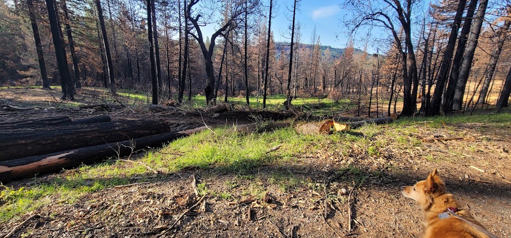 Fleming Trail System & Trailhead | Pollock Pines, CA 95726, USA | Phone: (530) 622-5061