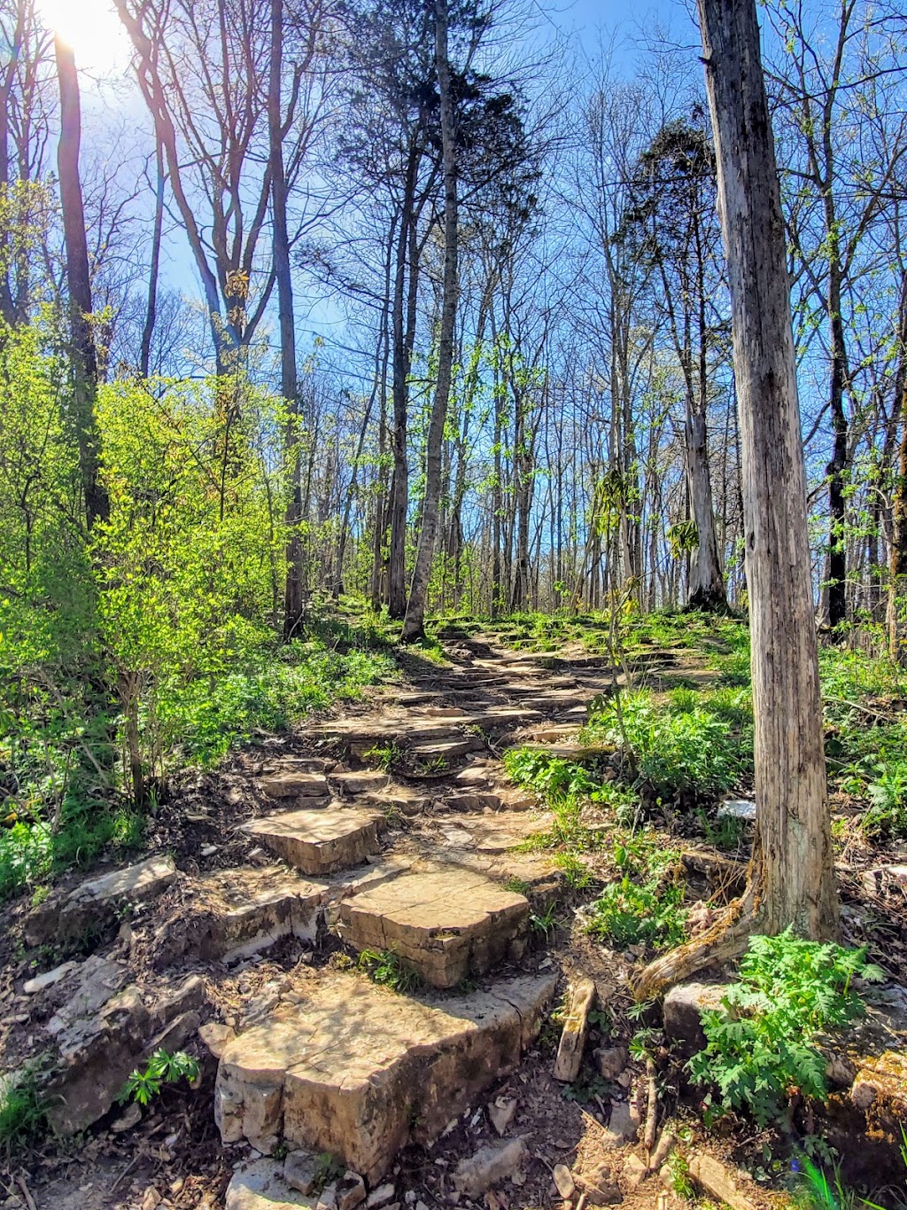 Raven Run Nature Sanctuary | 3885 Raven Run Wy, Lexington, KY 40515, USA | Phone: (859) 272-6105