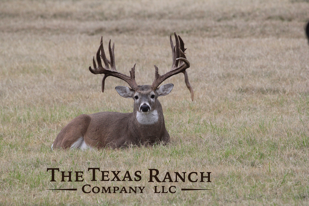 The Texas Ranch Company, LLC | 185 Diamond View Dr, La Vernia, TX 78121, USA | Phone: (210) 260-1897