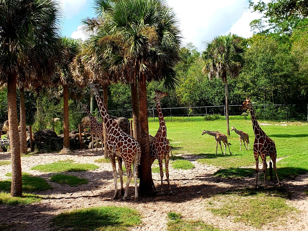 Jacksonville Zoo and Gardens | 370 Zoo Pkwy, Jacksonville, FL 32218, USA | Phone: (904) 757-4463