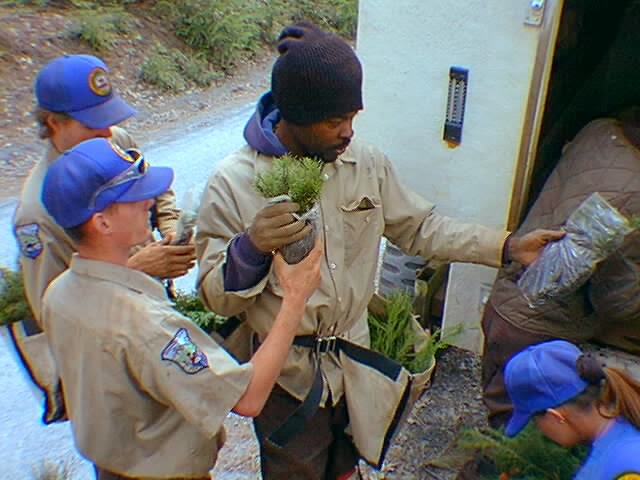 California Conservation Corps Auburn | 3710 Christian Valley Rd, Auburn, CA 95602 | Phone: (530) 823-4900