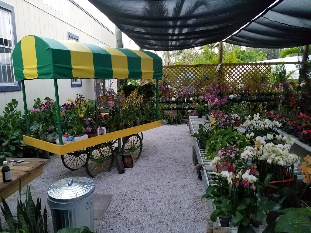 precious gardens nursery inc | 21190 Krome Ave, Miami, FL 33187, USA | Phone: (786) 486-0739