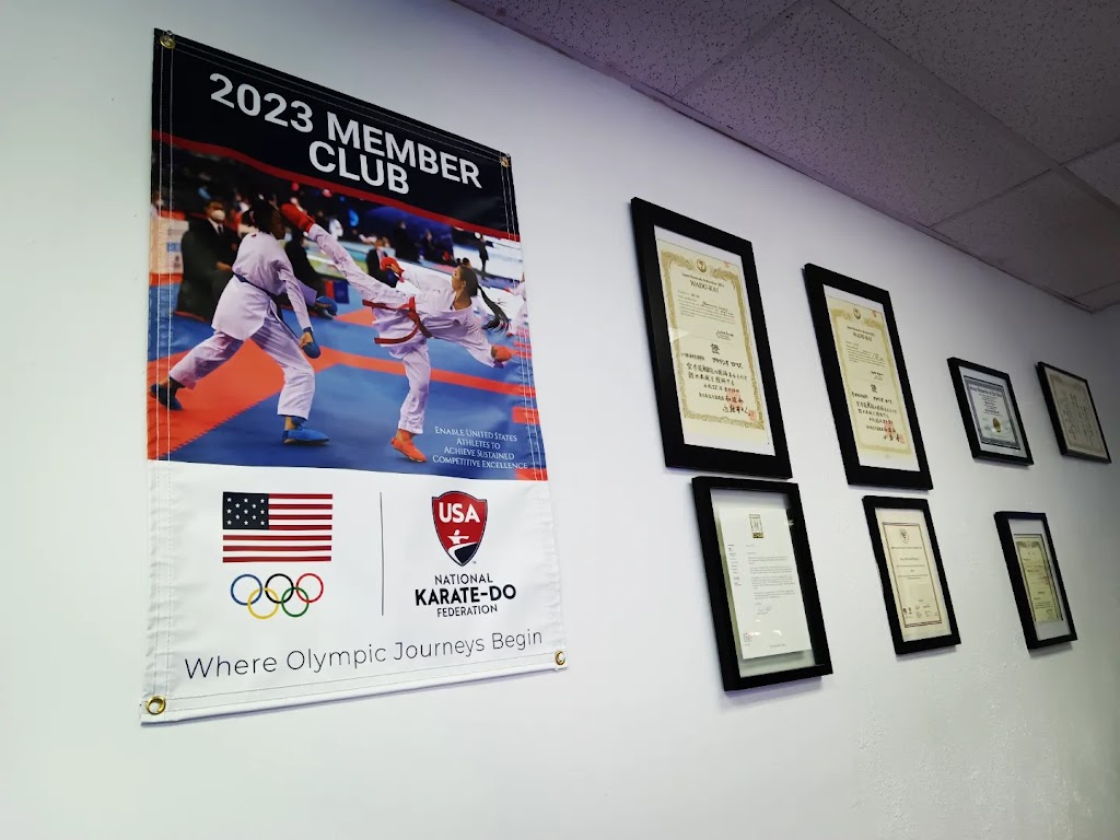 Karate Wado Kai Michigan | 45021 W Pontiac Trail, Novi, MI 48377, USA | Phone: (248) 722-9015