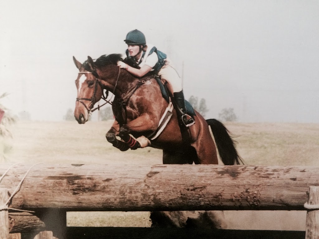 Macjordan Eventing | 181 Show Horse Ln, Dobson, NC 27017, USA | Phone: (336) 926-8534