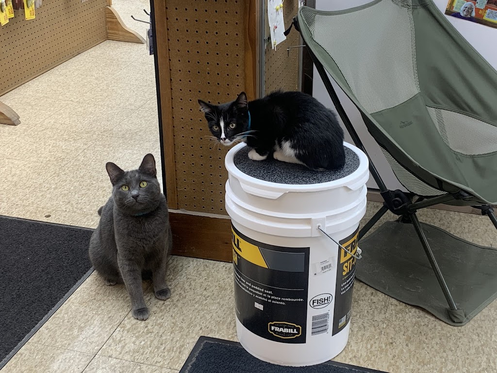 Schwartzs Bait & Tackle | 118 Cicero Rd, Noblesville, IN 46060, USA | Phone: (317) 776-0129