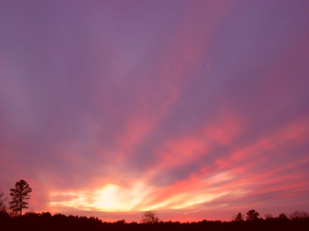 Barwick Electrical Services Inc. | 999 Dupree Rd, Willow Spring, NC 27592, USA | Phone: (919) 539-6045