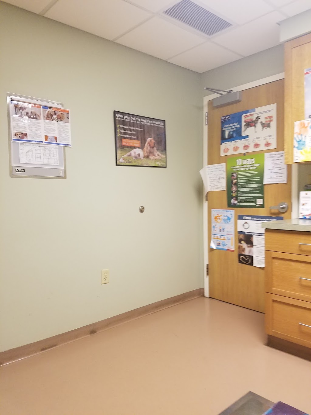 Aurora Pet Hospital | 410 Olean Rd, East Aurora, NY 14052 | Phone: (716) 655-0305