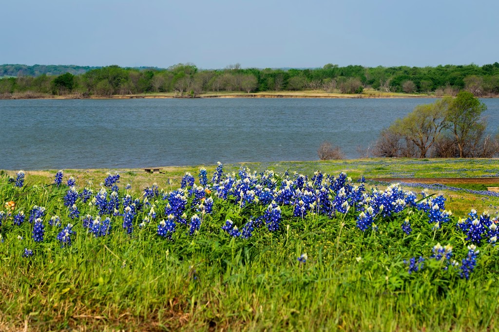 Meadow Nature Area | 1901 Laneview Dr, Ennis, TX 75119, USA | Phone: (972) 878-4748