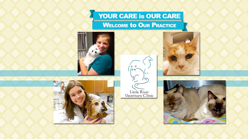 Little River Veterinary Clinic | 4000 Burke Station Rd, Fairfax, VA 22032, USA | Phone: (703) 273-5110