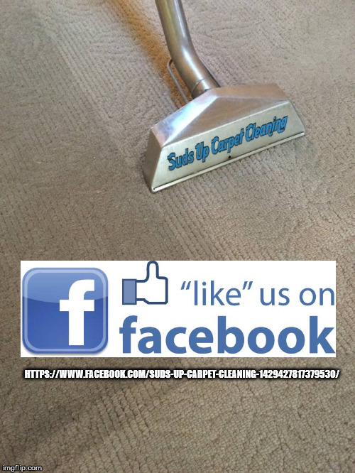 Suds Up Carpet Cleaning | 8950 Farmington Ln, Port Richey, FL 34668, USA | Phone: (727) 534-3332