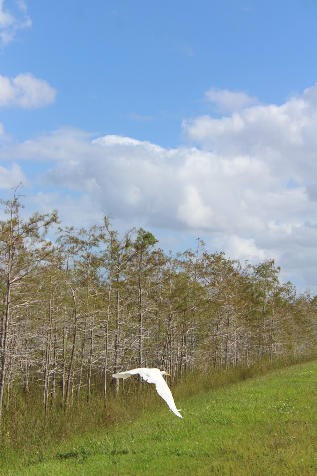 Florida National Parks Association | 10 Parachute Ky #51, Homestead, FL 33034, USA | Phone: (305) 247-1216