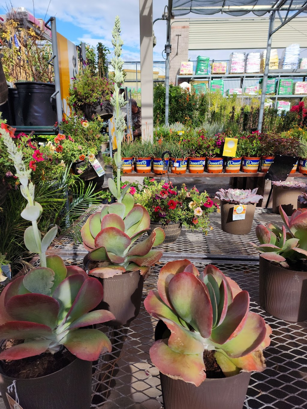 Lowes Garden Center | 4730 S Higley Rd, Gilbert, AZ 85297, USA | Phone: (480) 840-6280