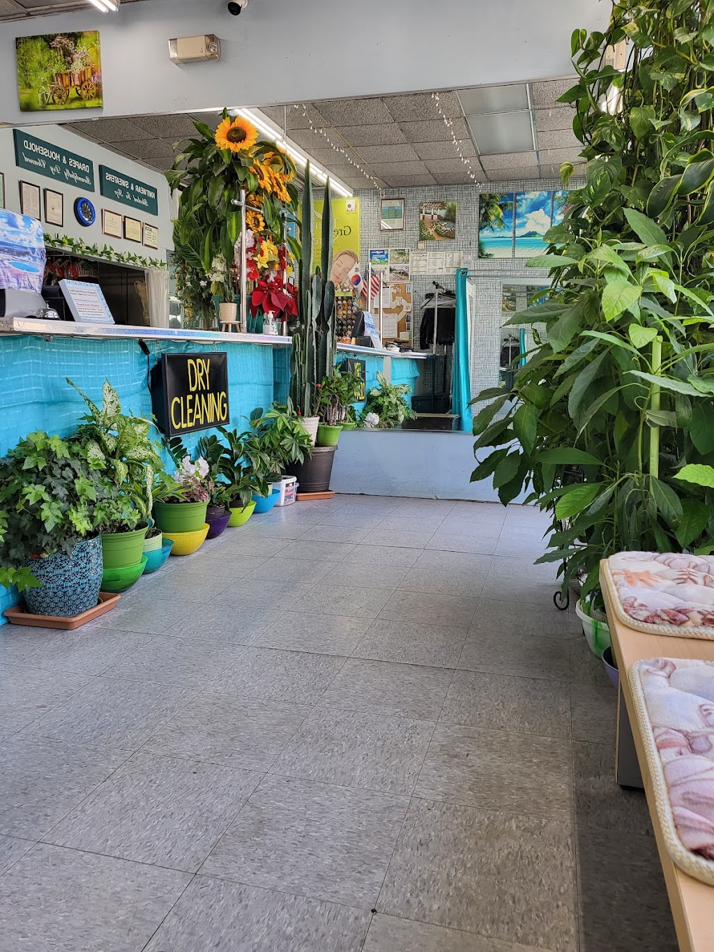 Joes Organic Dry Cleaners | 263 Post Ave, Westbury, NY 11590, USA | Phone: (516) 334-3350